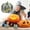 D, variant on Artificial Decorative Pumpkin – Black with Striped Finish for Halloween, Thanksgiving, and Fall Holiday Decorating