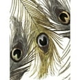 thumbnail image 3 of Sophie 6 12x14 Black Modern Framed Museum Art Print Titled - Gold and Silver Feathers I, 3 of 5