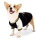thumbnail image 1 of Sudadera con capucha cálida para perros pequeños y medianos, abrigo de invierno, chaqueta para cachorros, ropa para mascotas, chaleco, sudadera ajustable para Chihuahua Bulldog (M) Rojo Verde, 1 of 3