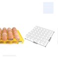 thumbnail image 4 of 10 Pcs Plastic Egg Trays For 30 Egg Holders, Egg Storage Containers Random Color, 4 of 4