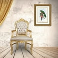 thumbnail image 3 of Gould, John 23x32 Gold Ornate Wood Framed with Double Matting Museum Art Print Titled - Gould Tropical Birds I, 3 of 4