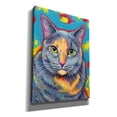 thumbnail image 2 of Epic Graffiti 'Dilute Tortoiseshell Cat' by Rebecca Wang Art, Canvas Wall Art, 40"x54", 2 of 8