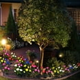 thumbnail image 2 of LED Solar Flower Lights Artificial Rose Flower Outdoor Lamp Sola, 2 of 5