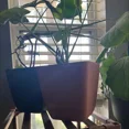 thumbnail image 4 of Square Indoor Outdoor Planter Pot White 6"x6", 4 of 4