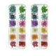thumbnail image 1 of Flores de uñas secas, pegatina de arte de uñas 3d para toques de accesorios de mezcla de decoración de uñas, flores de hojas estrelladas MFZFUKR CPB-DE-LYY215, 1 of 5