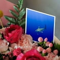 thumbnail image 3 of 3drose, Hawaii, Big Island, Oceanic White Tip Shark - Us12 Pso0037 - Paul Souders, 12 Greeting Cards with Envelopes, 3 of 7
