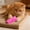 🔥 Pink, variant on Msgweeeg Interactive Cat Toys for Indoor Cats Automatic Cat Toy Pet Toys Cute Expression Thumb Cats Interactive Vent Furry Mini