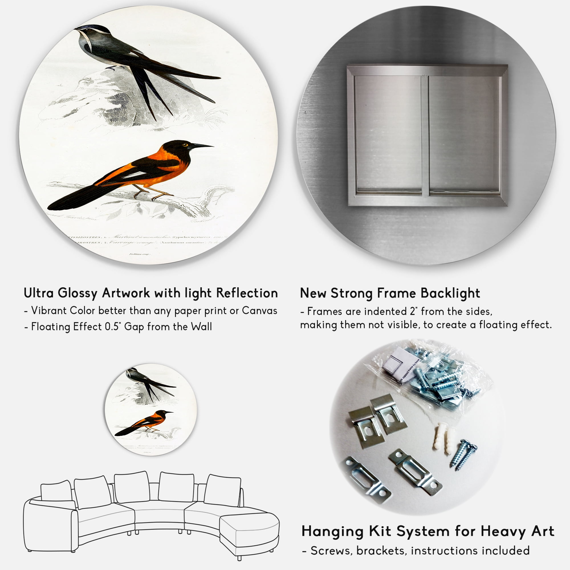 Designart 'Ancient Bird II' Traditional Circle Metal Wall Art 36x36 - Disc of 36