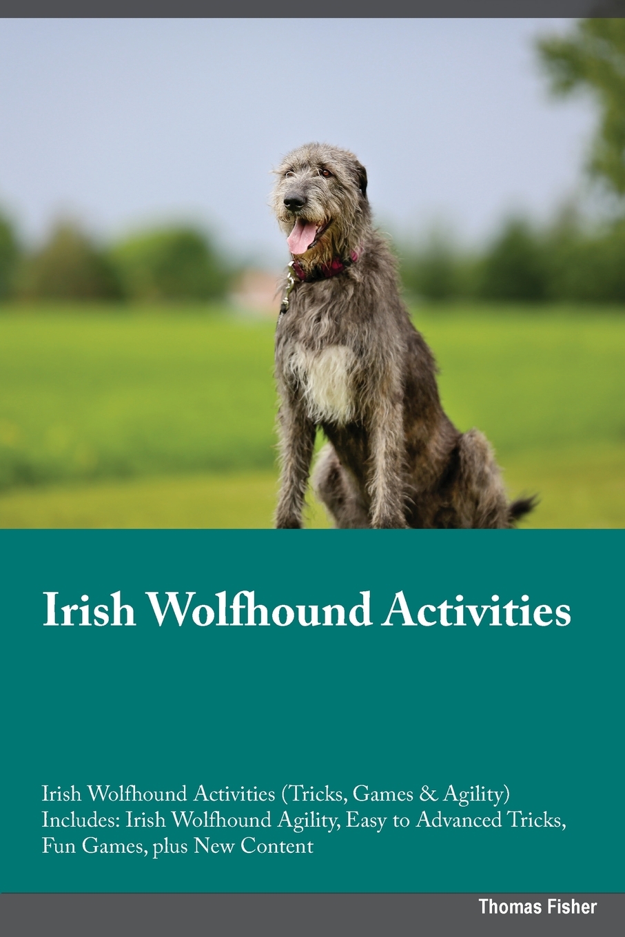 Irish Wolfhound Activities Irish Wolfhound Activities (Tricks, Games