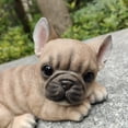thumbnail image 3 of Bulldog Bliss: Polyresin Resting French Bulldog in Rich Brown, 3 of 5
