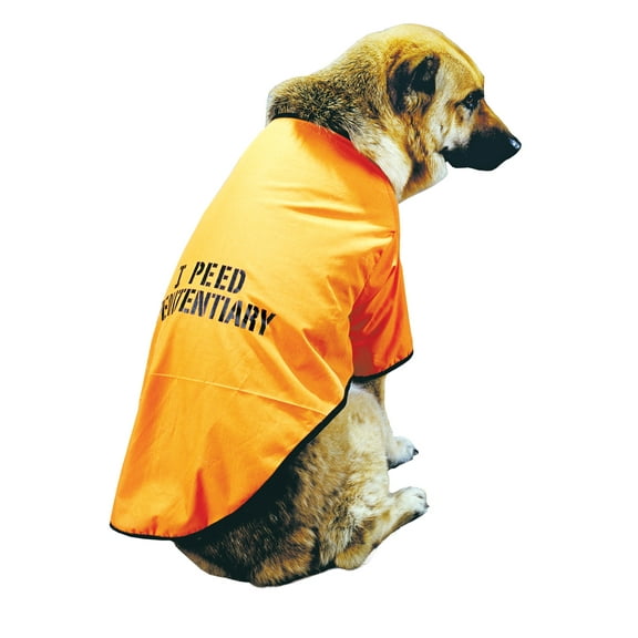 I Peed Penitentiary Got Busted Convict Pet Costume