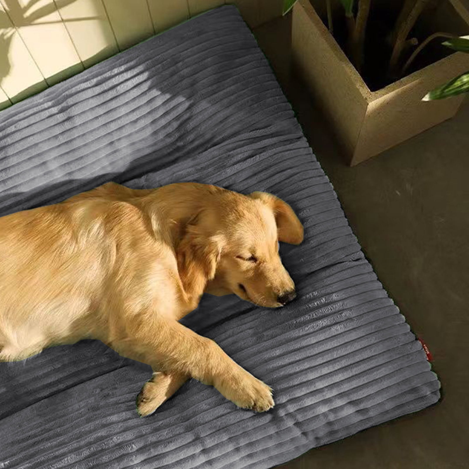 Bxaolu Dog Bed for Medium/Large Dogs, Cute Foam Dog Beds with Removable Cover, Corduroy Comfort Furry Dog Mats for Indoor Dogs (19x24 Inches )