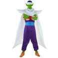 thumbnail image 1 of Dragon Ball Z Piccolo Costume, 1 of 3