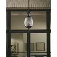 thumbnail image 5 of 7516BC Acclaim Lighting Lanai - Three Light Outdoor Hanging Lantern - 10 Inches Wide by 21 Inches High-Black Coral Finish, 5 of 7