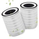 thumbnail image 1 of Paquete de 2 filtros purificadores de aire True HEPA KILO para Afloia, 1 of 7