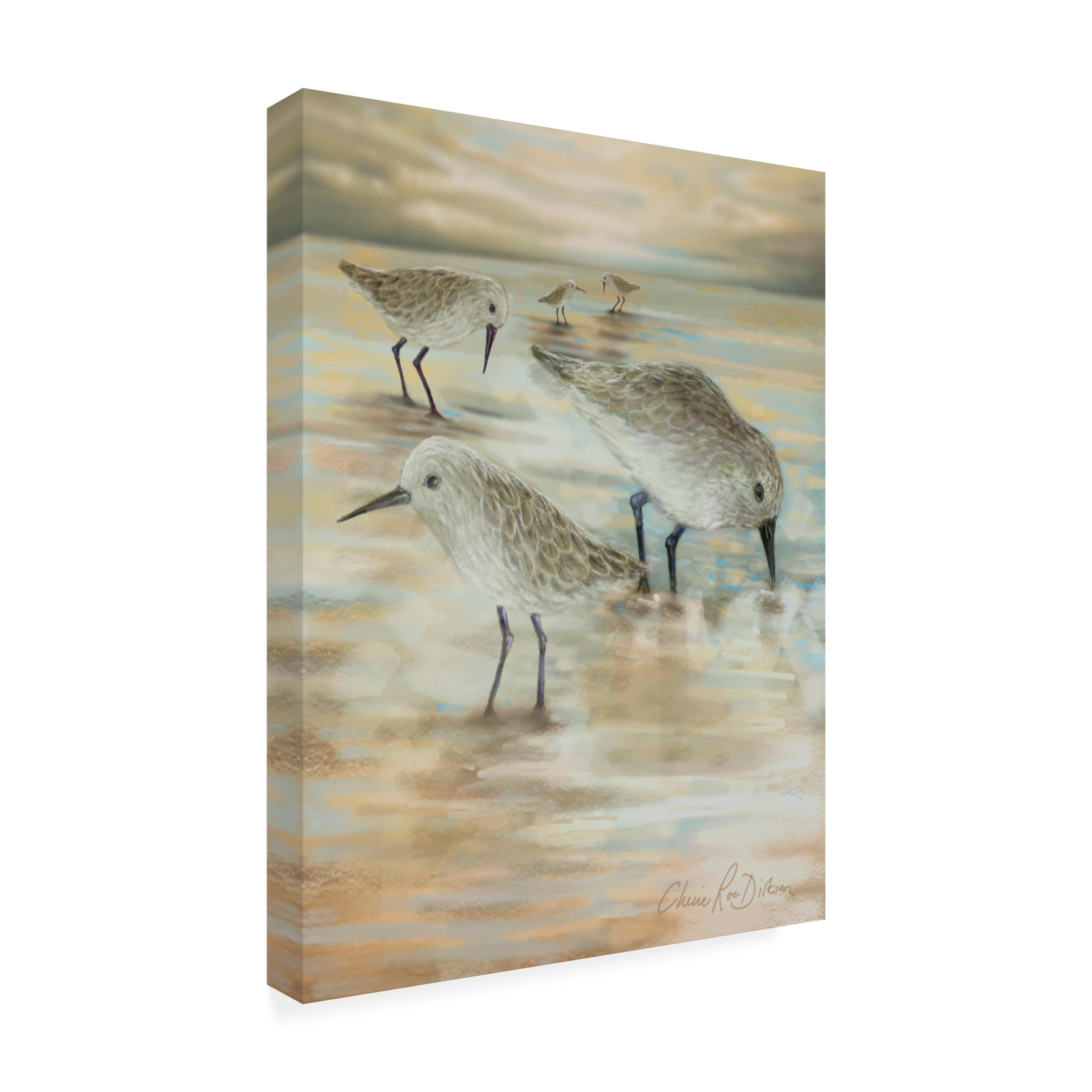 Cherie Roe Dirksen 'Sandpipers' Canvas Art