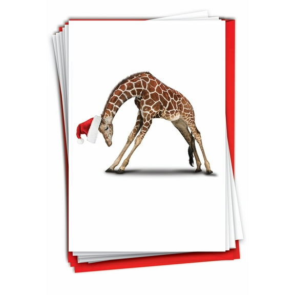 12 Merry Christmas Cards Pack (1 Design, 12 Cards) - Zoo Yoga B6547BXSG