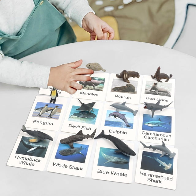 12x Figuras de animales marinos y salvajes Animales Mini figuras de animales con tarjetas flash Ciencia para pequeños en edad mar y animales no domesticados Macarena Tarjetas de Figuras Realistas