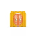 thumbnail image 5 of Sparkling Ice Summer Lemonade Variety Pack, 17 Fluid Ounce (Pack of 24), 5 of 5