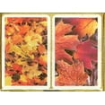 thumbnail image 2 of Cartes à Jouer Canada 2X54 Cartes, 2 of 2