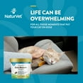 thumbnail image 4 of NaturVet Quiet Moments Calming Aid + Melatonin Soft Chews for Cats 60ct, 4 of 8