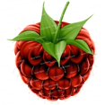 thumbnail image 3 of Pegatina decorativa para nevera de cocina con forma de fruta de dibujos animados de frambuesa linda Three Ratels CO22, 3 of 5
