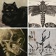 thumbnail image 3 of Moody-Conjunto de pared de galería de Halloween, impresiones de gato negro, pintura en lienzo, póster Vintage, búho, murciélago, imágenes de pared, decoración de la Academia oscura, 3 of 4