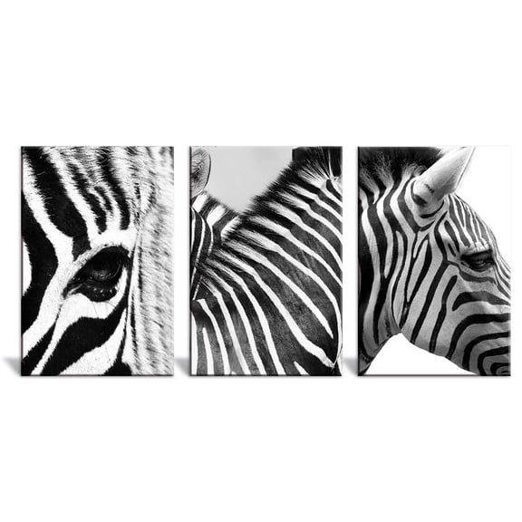wall26 - 3 Panel Canvas Wall Art - Close Up of Zebras in Black and White - Giclee Print Gallery Wrap Modern Home Art Ready to Hang - 24"x36" x 3 Panels