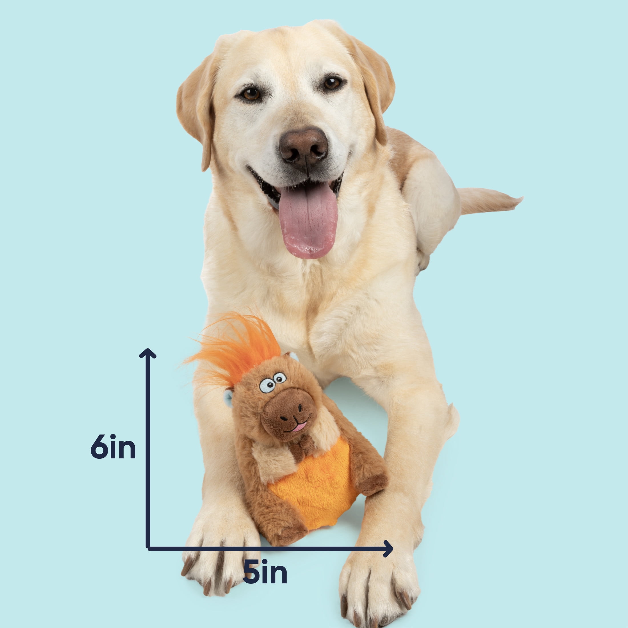 goDog Silent Squeak Capybara Ultrasonic Squeaky Dog Toy, Plush with Chew Guard Technology, Small