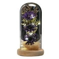 thumbnail image 1 of Laklulu Un regalo navideño para familiares y amigos femeninos: girasol artificial con cúpula de cristal y tira de LED, 1 of 5