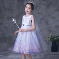 thumbnail image 2 of Princess Elsa Robe Sans Manches Jupes en Maille pour Filles Envoi de Capes Costumes d'Halloween, 2 of 6