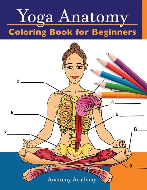 Yoga Anatomy Coloring Book For Beginners - Walmart.com