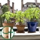 thumbnail image 4 of 200 Uds. Clips de flores de vid de tomate y verduras, Clip giratorio para plantas, Clips de soporte para plantas de jardín, Clips para plantas y Clips de jardín (pequeños), 4 of 5