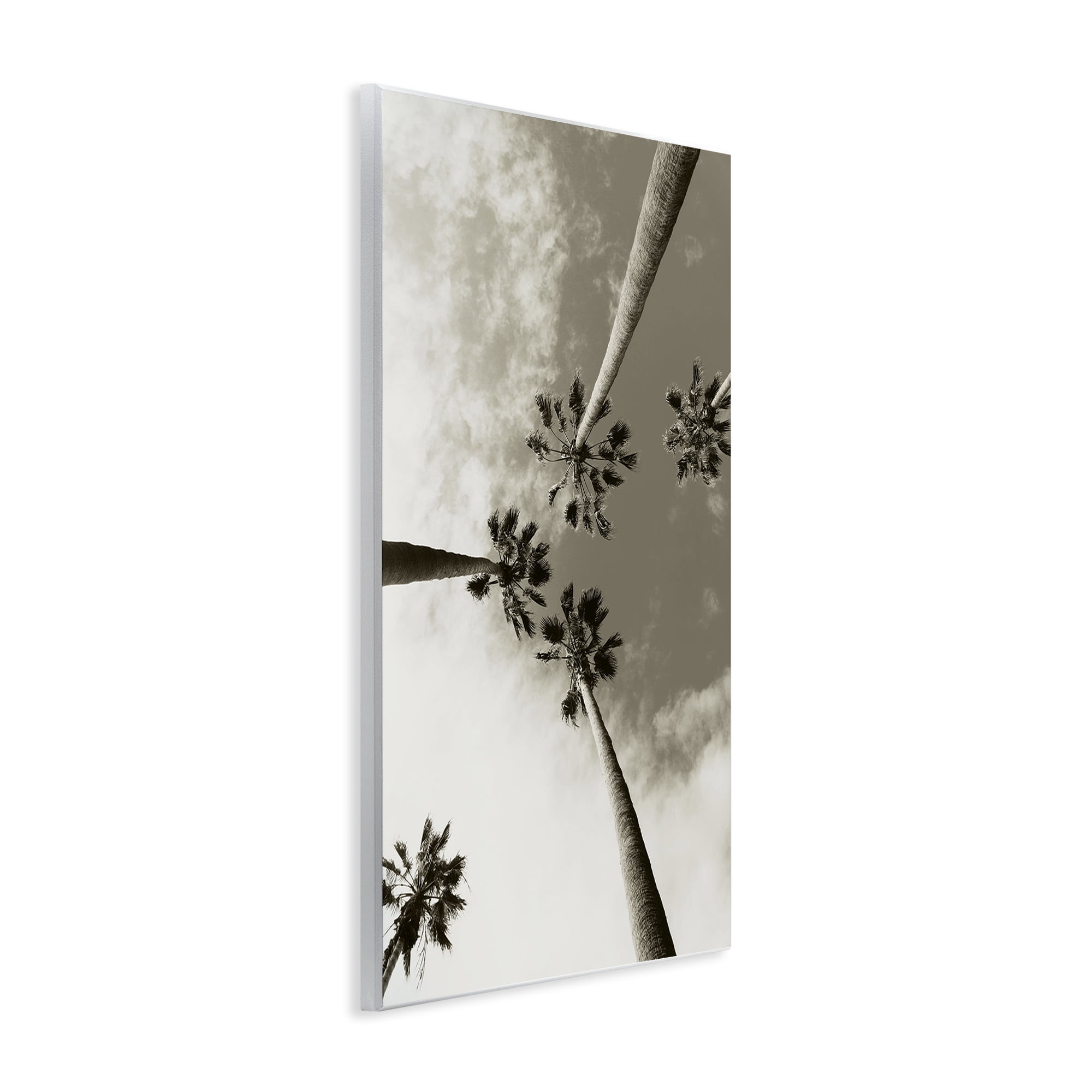 Stupell Industries Centric Palm Trees Botanical & Floral Photography Unframed Art Print Wall Art, 13 x 19
