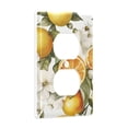 thumbnail image 2 of Yayeee Duplex Wall Plate 1-Gang 4.5"x2.7" Home Receptacle Light Switch Decorative Outlet Cover, Oranges Watercolor, 2 of 7