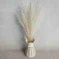 thumbnail image 2 of HESHENG 6PCS Faux Pampas Grass 18" Tall Decor, Small Pompous Artificial Dried Pompas Grass, Fake Pampas Floral , Artificial Flowers Vase Filler, Home Wedding Boho Decor, Brown, 2 of 10