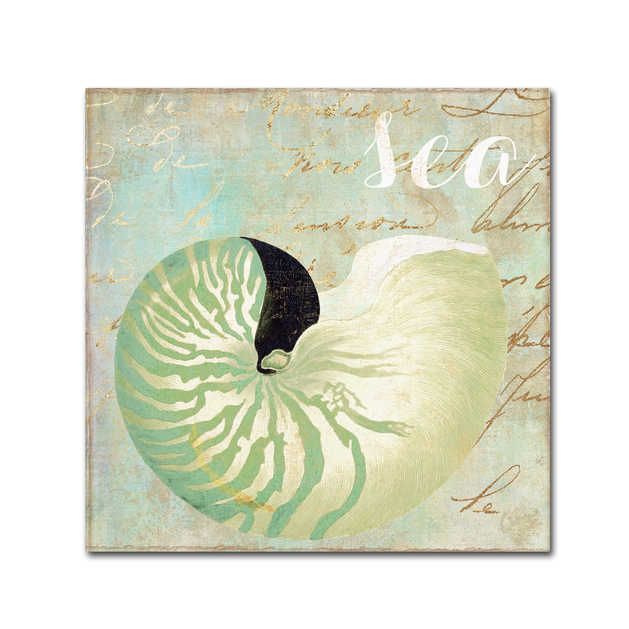 Trademark Fine Art "Turquoise Beach I" Canvas Art by Color Bakery