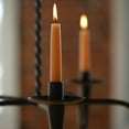 thumbnail image 2 of ROOT Candles Unscented Dipped Taper Candles, 12-inch Tall, Box of 12, Color: Rust, 2 of 2