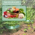 thumbnail image 3 of Guiexla 1/5/15Pcs Transparent Garden Cloches Planter Slug Collar Plant Protectors Weather-Resistant Reusable Snail Defense Plant Cover Protectors, 3 of 7