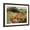 Brown Frame, variant on Art.com Sunlit Meadow Art Print by Mary Dipnall, 16" x 12"