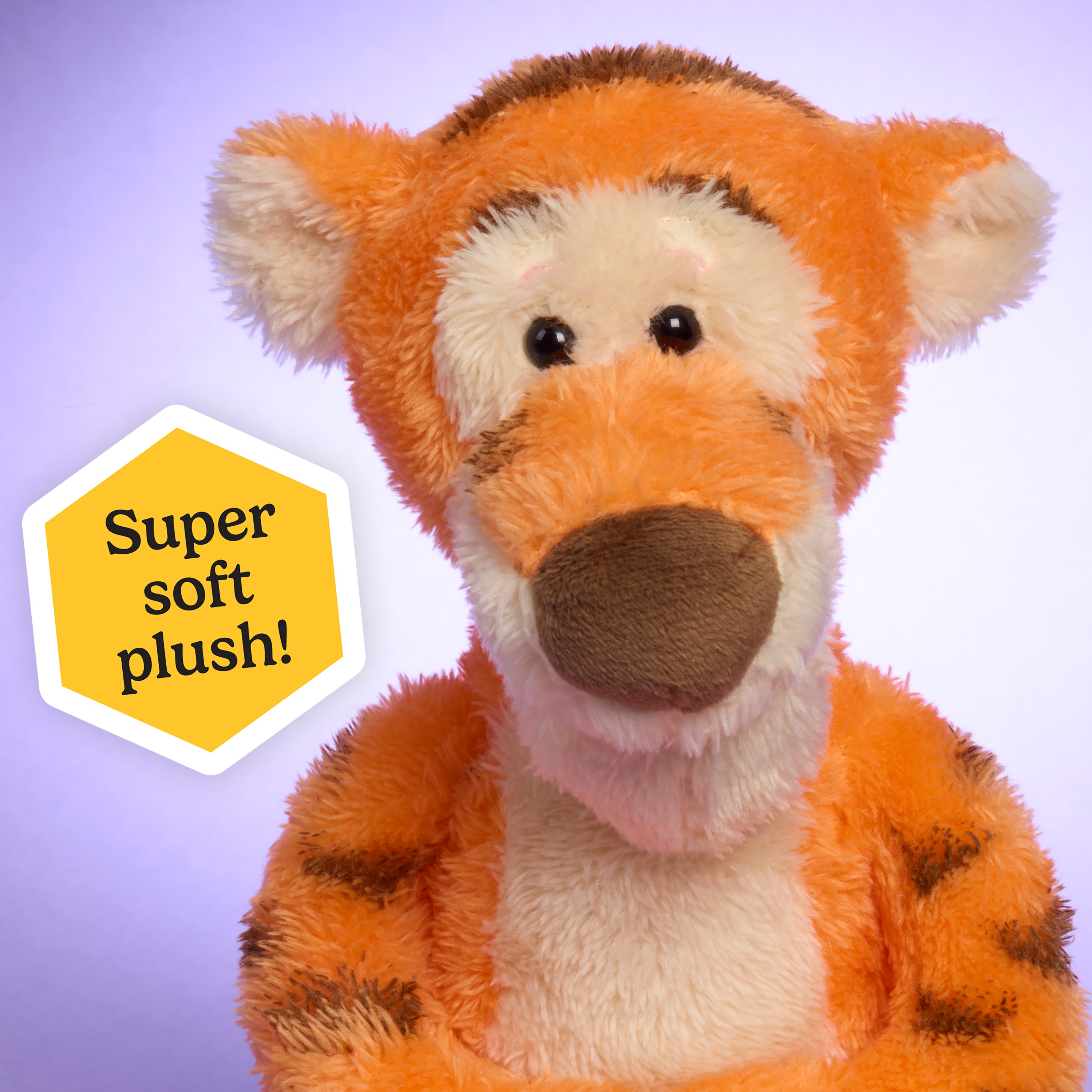Disney Winnie the Pooh 100th Anniversary Plush Set photo 4