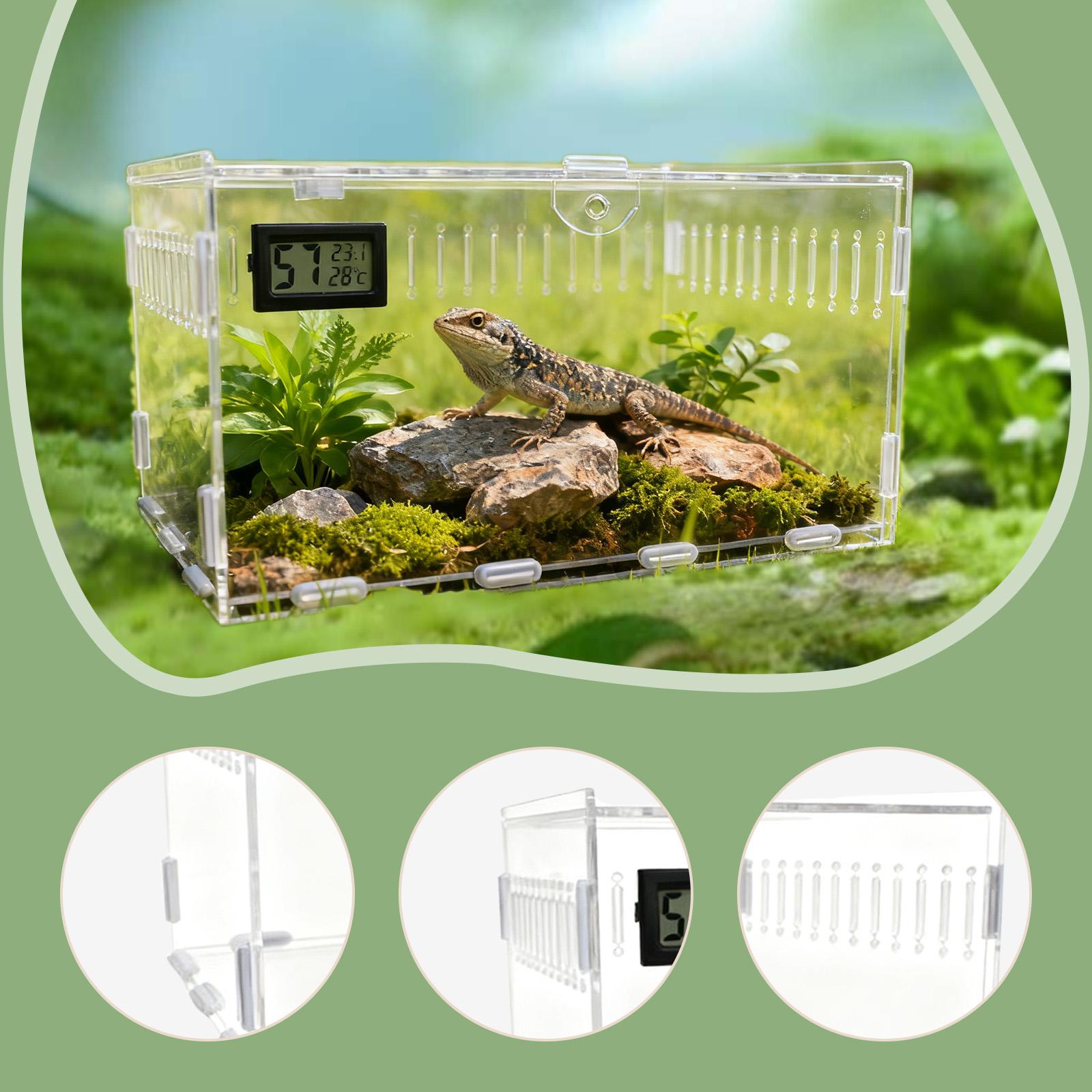 Reptile Tank Acrylic Spider Enclosure Terrarium with Easy Cleaning for Frogs Hermit Crabs Living Room