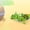 Green, variant on Orange Orange Sound And Light Lizard For Kids Battery Powered Walking Reptile Toy