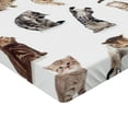 thumbnail image 2 of Ambesonne Cat Fitted Sheet 2 Pcs Set, Funny Playful Cats Image, Twin XL, Brown Black White, 2 of 3