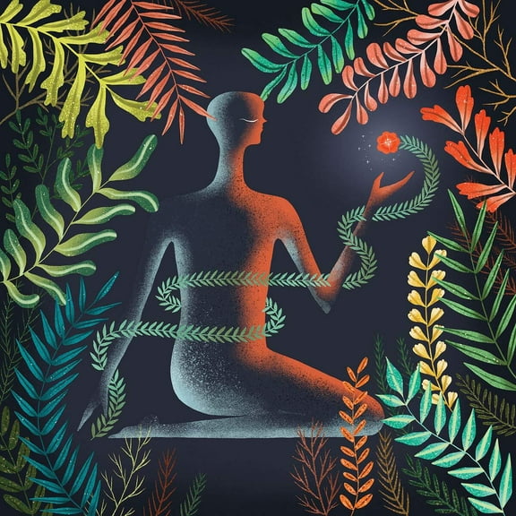 Loma - Don't Shy Away - Music & Performance - Vinyl