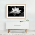 thumbnail image 5 of Ethereal Blossom - Photography Black and White Floral Flowers Nature Minimalist Botanical Scenic Oak Framed Wall Art Print 20 x 30 inches, 5 of 6