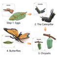 thumbnail image 4 of Animal Plant Insect Growth Simulation Cards Montessori Learning Toys For Kids Ages 3-6 Biological Science Teaching Aids, 4 of 10