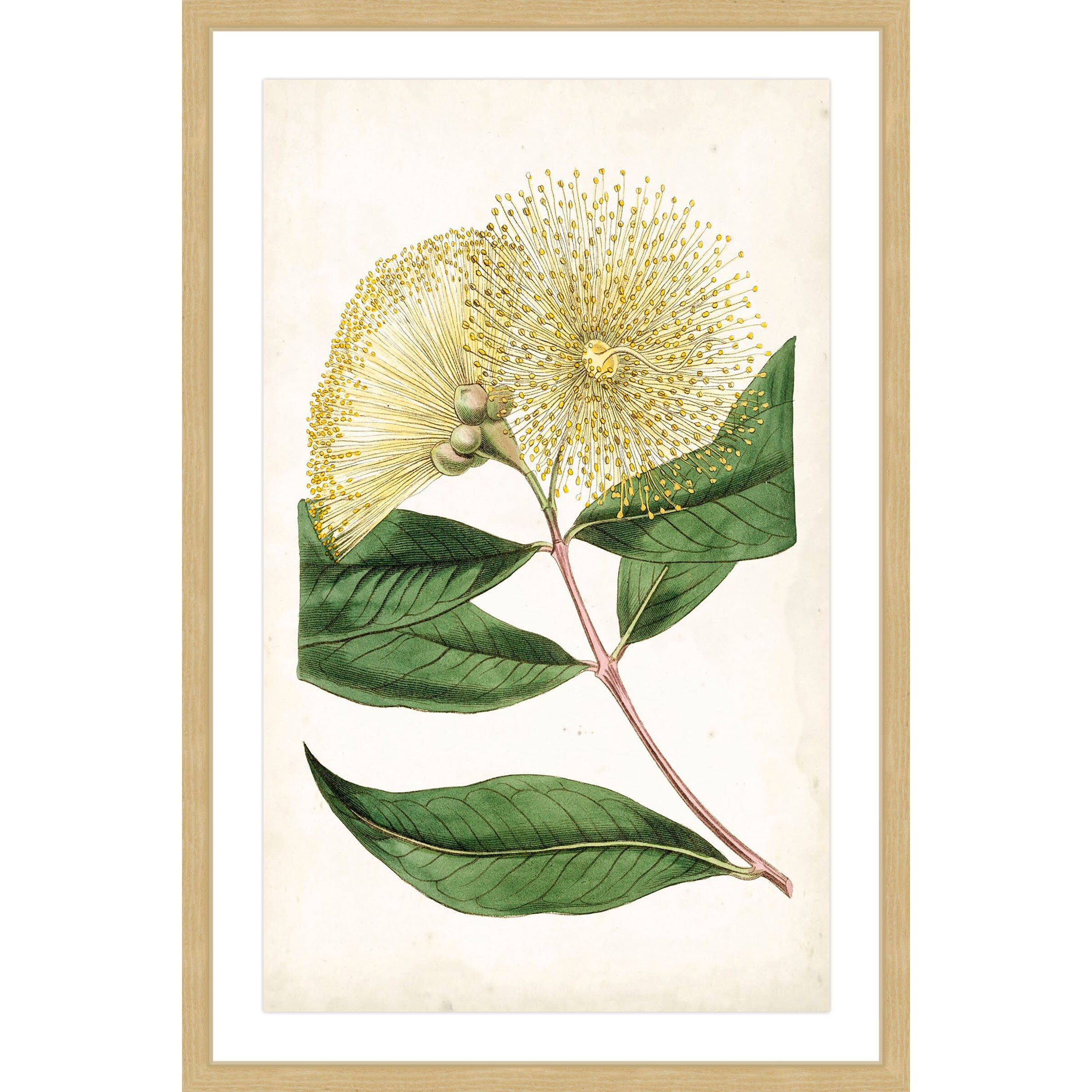 Marmont Hill "Floral Lace I" Framed Painting Print
