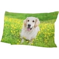 thumbnail image 6 of Beautiful Golden Retriever Dog Velvet Oblong Lumbar Plush Throw Pillow Cover/Shams Cushion Case - 20x36in - Decorative Invisible Zipper Design for Couch Sofa Pillowcase Only, 6 of 7