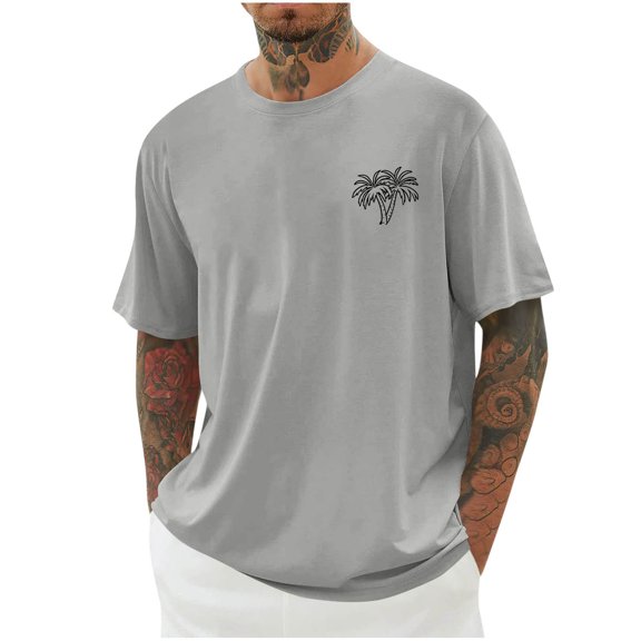 Dagegui Everyday T-Shirt for Men Casual Crewneck Short Sleeve Tops Summer Loose Fit Tees Palm Tree Graphic Beach Vacation Shirt Light Gray M